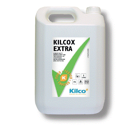Kilcox Extra 5 l ALE