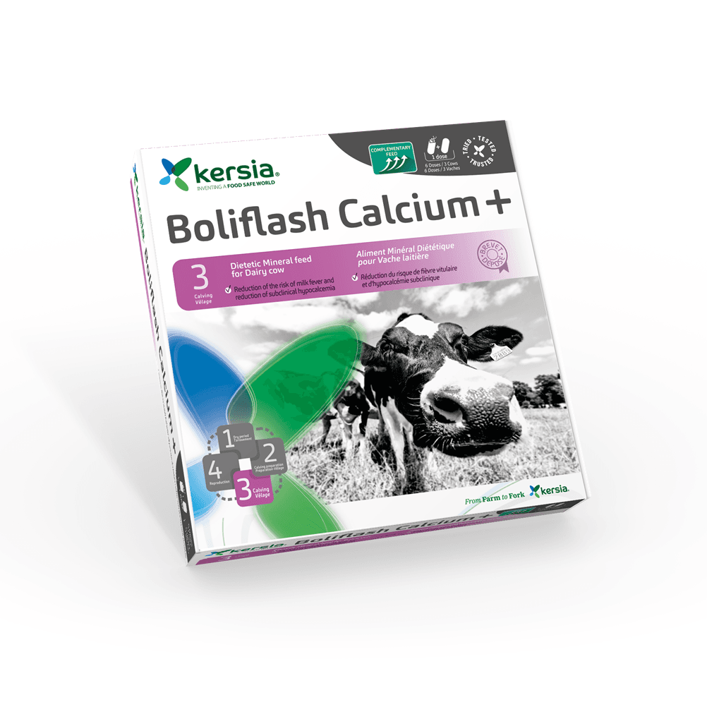 Boliflash Calcium+